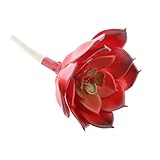 GRALARA人工多肉植物　プラスチック　ジューシー　観葉植物　結婚式　パーティー　工場　装飾　5種類選べる - 02秋