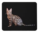 ベンガル猫のマウスパッド：フォトパッド（世界の猫シリーズ）