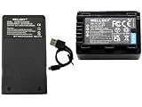 WELLSKY VW-VBT190-K VW-VBT190 互換バッテリー 1個 + VW-BC10 VW-BC10-K 超軽量 USB Type-C 互換充電器 1個 [ 2個セット] [ 純正充電器で充電可能 残量表示可能 純正品と同じよう使用可能 ] パナソニック