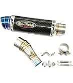 Amazon | Realize (リアライズ) カワサキ ニンジャ250 (JBK-EX250L