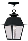 Livex Lighting 2164-04 Mansfield 1-Light Outdoor Chain Hang, Black [並行輸入品]