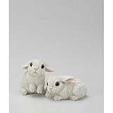 エイチツーオー　カントリーラビットＳ　２種セット　HT6024