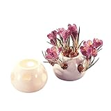 SELON サテライトポット