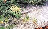 わらイラズ 1m×200m ダイオ化成