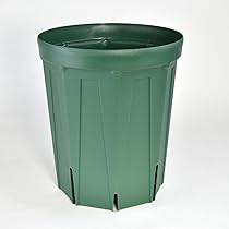 Amazon.co.jp: お好きな数でどうぞ 兼弥スリット鉢 ロングサイズ 24cm