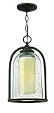 Hinkley 2612OZ Outdoor Quincy Light [並行輸入品]
