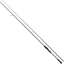 Amazon | ダイワ(DAIWA) 21 エメラルダス ストイスト RT 76MMH  