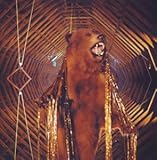 �C�b�g�E�X�e�B���E���[���Y