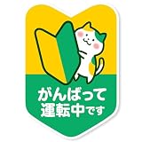 これみて！ 【マグネットタイプ】初心者マーク 猫デザイン 車用 プレゼント かわいい サポート 補助 孫 高校生 社会人 (マグネット, ねこ B)