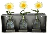 Urbanレガシー14インチメタルTinボックスwith Tripleガラス花瓶Planters