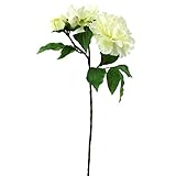 ピオニースプレーX5 FXFM0007CR