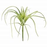 MAGIQ 東京堂 上質な 造花 エアプランツ GREEN FG001364-024