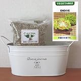 エンダイブの栽培セット/標準セット（液体肥料無し）プランターホワイト仕様