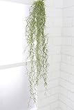 COVENT GARDEN（コベントガーデン） ウスネオイデス 造花 人工観葉植物 VU-22 【まとめ買い×4セット】