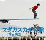 �}�_�K�X�J���̗�