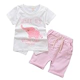 MyMei 子供服 ベビー服 Ｔシャツ ショートパンツ 上下２点セット 男の子ウェア 通学 お出かけ カジュアル 夏ウェア 柔軟性 通気性 (90, ピンク)