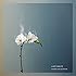 world's end girlfriend「LAST WALTZ(12inchアナログ2枚組+DLコード)」