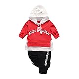 Tovadoo 子供服 ベビー服 男の子 パーカー+ズボン セットアップ 長袖 秋冬 多色 アルファベット柄 韓国風 ファッション 保育園 旅行