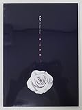 ビエイピ - ROSE (6th Single Album) [B ver.] CD+Photobook+Postcard+Photocard+Folded Poster [KPOP MARKET特典: 追加特典フォトカード] [韓国盤]