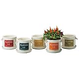 フラワーポット　3.5号　取手紐　受け皿付き レッド