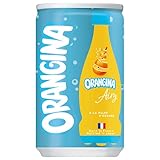 サントリー ORANGINA Airy(オランジーナ エアリー) 160ml缶×30本入×(2ケース)