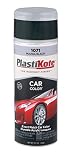 PlastiKote 1071 Mazda Black Automotive Touch-Up Paint - 11 oz. [並行輸入品]