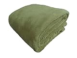 Cozy Fleece Inc Cozy Fleece Micro Plush Blanket, Full/Queen, Tan