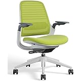 スチールケース シリーズ1 シーガルフレーム カラー：ワサビ 肘/ランバーサポート付 435A00SA 5S23/5T26 Steelcase Series1