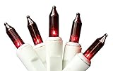 Northlight Set of 35 Red Mini Christmas Lights - White Wire [並行輸入品]