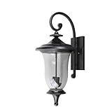 Y Decor EL8001ST-2L Modern, Transitional, Traditional, Rustic 2 Light Exterior Outdoor Wall Sconce B