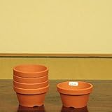 国産素焼き中深鉢２号　５個セット