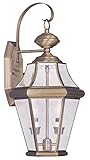 Livex Lighting 2261-01 Georgetown 2-Light Outdoor Wall Lantern, Antique Brass [並行輸入品]
