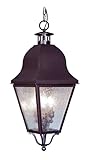Livex Lighting 2557-07 Amwell 3-Light Outdoor Chain Hang, Bronze [並行輸入品]