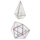 Kesoto 2個入り　ジオメトリックテラリウム　サボテン　シェイプ　ガラスジオメトリック　テラリウム　サイドオープン