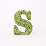 A plus floral art インテリアグリーン イニシャルモス [ S ] アルファベット オブジェ 置物 苔 イニシャル 雑貨 北欧風 インテリア