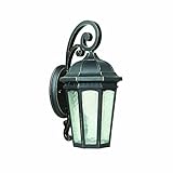 Yosemite Home Decor 1618MDIWB 1 Light Exterior with Clear Medium Sized Glass, Oil Rubbed Bronze Fini