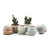 T4U 6CM 陶器鉢 流れ釉（3シェイプ）セット 灰底 植木鉢 多肉植物 サボテン鉢、花鉢 容器 ミ二植木鉢 6個入り