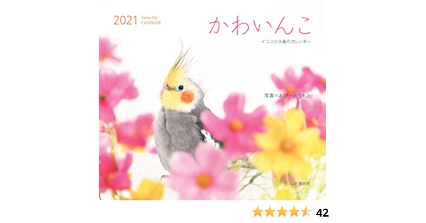 カレンダー21 かわいんこ インコと小鳥のカレンダー 月めくり 壁掛け ヤマケイカレンダー21 おぴ とうもと 本 通販 Amazon