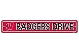 Wisconsin Badgers Street Sign