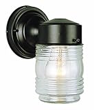 Trans Globe Lighting 4900 PB 7-Inch 1-Light Outdoor Wall Lantern, Polished Brass [並行輸入品]