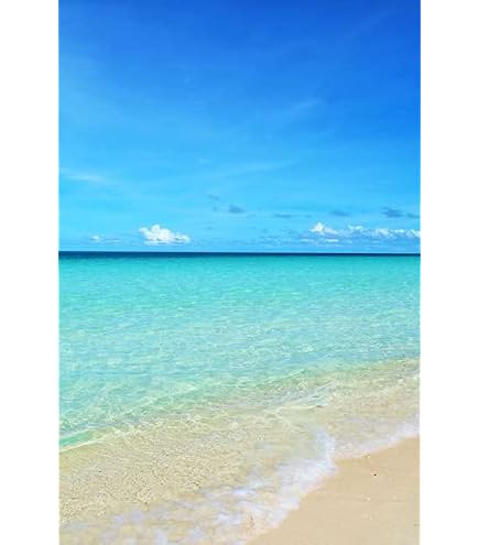 Amazon | 【日本の風景ポストカードAIR】沖縄県 青空と青い海のはがき