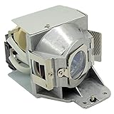 EachLight BHL-5009-S BHL5009-S (P) プロジェクター 交換用ランプ ビクター PIONEER DLA- HD1 HD10 HD100 HD1WE RS1 RS1X RS2 VS2000 交換用【高耐久性·使いやすい】 実用性の高い製品