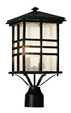 Trans Globe Lighting 4639 BK 2-Light Post Lantern, Black by Bel Air Lighting [並行輸入品]