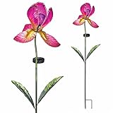 Regal Solar Iris Stake - Fuchsia [並行輸入品]