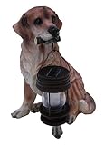 Tricod Golden Retriever Dog with Lantern Solar Light [並行輸入品]