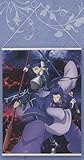 一番くじ 劇場版 Fate/stay night [Heaven's Feel] PART2 B賞 ランサー＆アサシン 掛式アートポスター