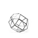 ポリへドロン テラリウム Sサイズ Polyhedron Terrarium “S”