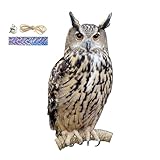 ノーブランド品鳥よけ鳩よけフクロウファームプロテクター鳥怖がらせ器フクロウかかし鳥よけペンダントガーデンプロテクター鳥よけペンダントファームプロテクター鳥よけ偽鳥怖がらせ装置防水パティオバルコニーガーデンデコレーション, POP5MTP4OZAS4URSTQO