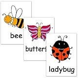 フラッシュカード【虫】■A４サイズ ■ラミネート加工■ 英語カード.com Flashcards, English word cards (Insects) ■A4 size, laminated■