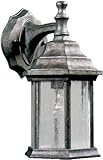 Forte Lighting 1725-01-59 Exterior Wall Light with Clear Seeded Glass Shades, River Rock [並行輸入品]